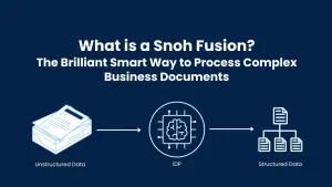 What is Snoh Fusion?