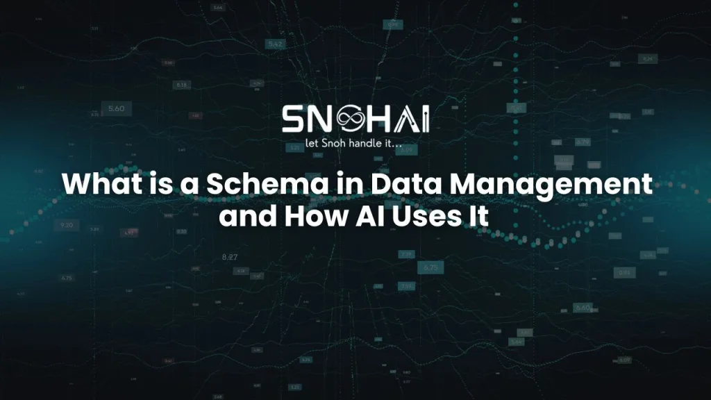 what is a schema in data management systems