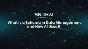 what is a schema in data management systems