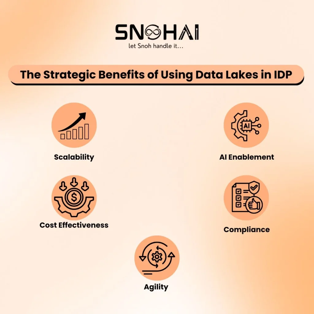 Data Lake intergration with idp