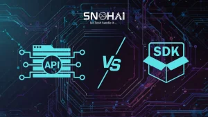 API vs SDK for AI Product Integration